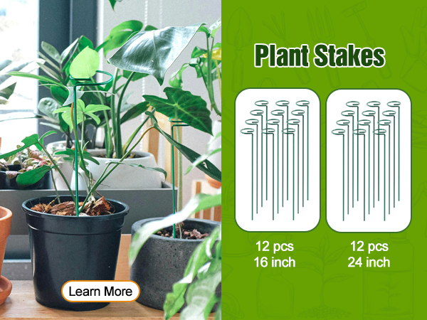 plant stakes