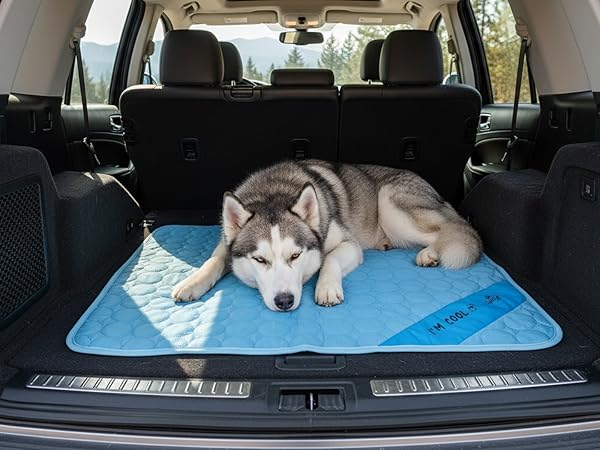 husky lying in the cargo area trunk on a cooling mat