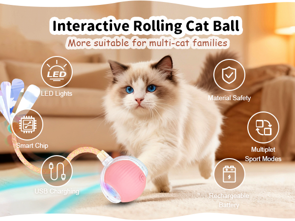 Interactive Rolling Cat Ball