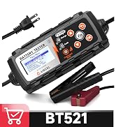 BT521