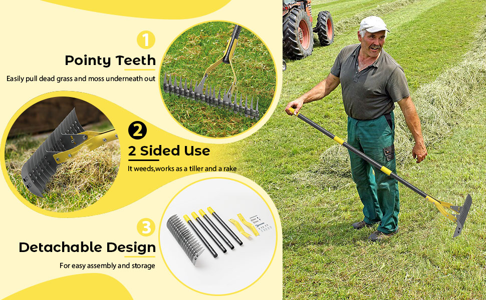 Thatch Rake