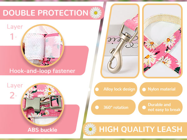 Beautiful puppy harness