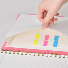 Large notebook