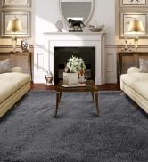 Fluffy Shag Area Rugs 8x10 - Large Grey Plush Rug for Living Room Bedroom - Modern Soft Fuzzy Gra...