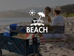 beach wagon