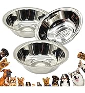 3-piece Set of cat Bowls, 5.51-inch Stainless Steel cat Bowl, Food Grade 304 Stainless Steel, pet...