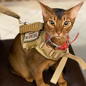 Tactical Dog Harness with Leash Tactical Puppy Vest with Rubber Handle K9 Military