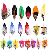 SendyFeather Hat Feathers 20 Styles Natural Assorted Feathers for Fedora Hats Accessories DIY Cra...
