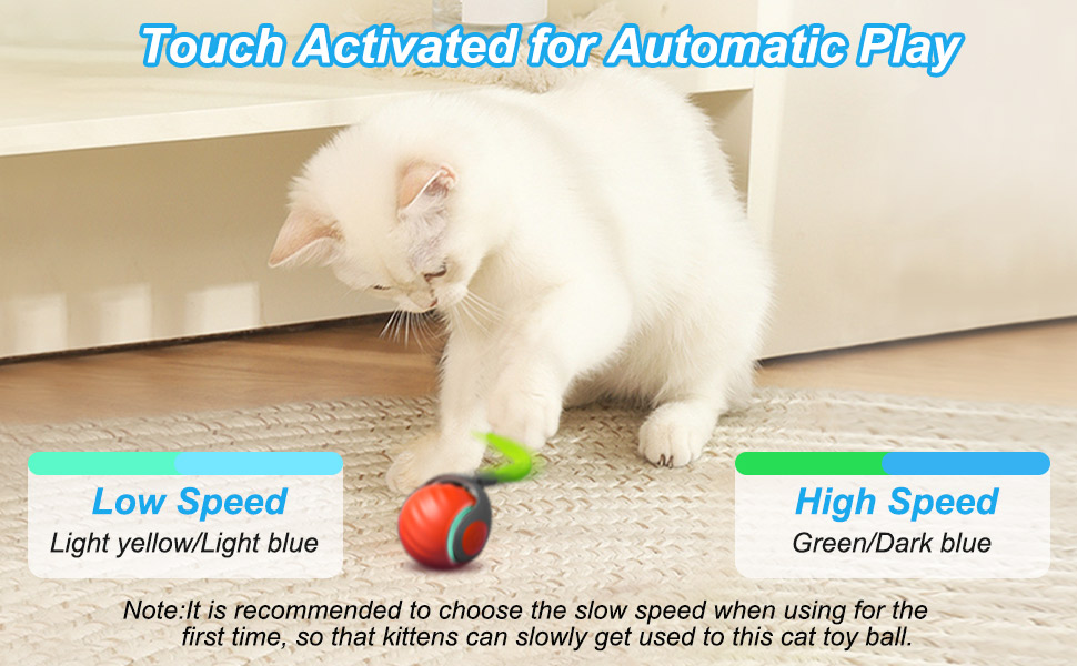 Automatic Cat Toy