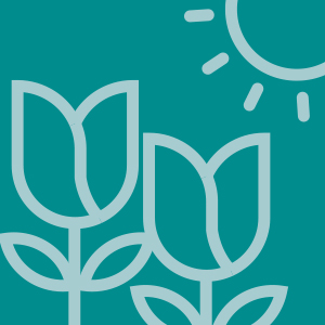Drawing of flowers in the sun, green background