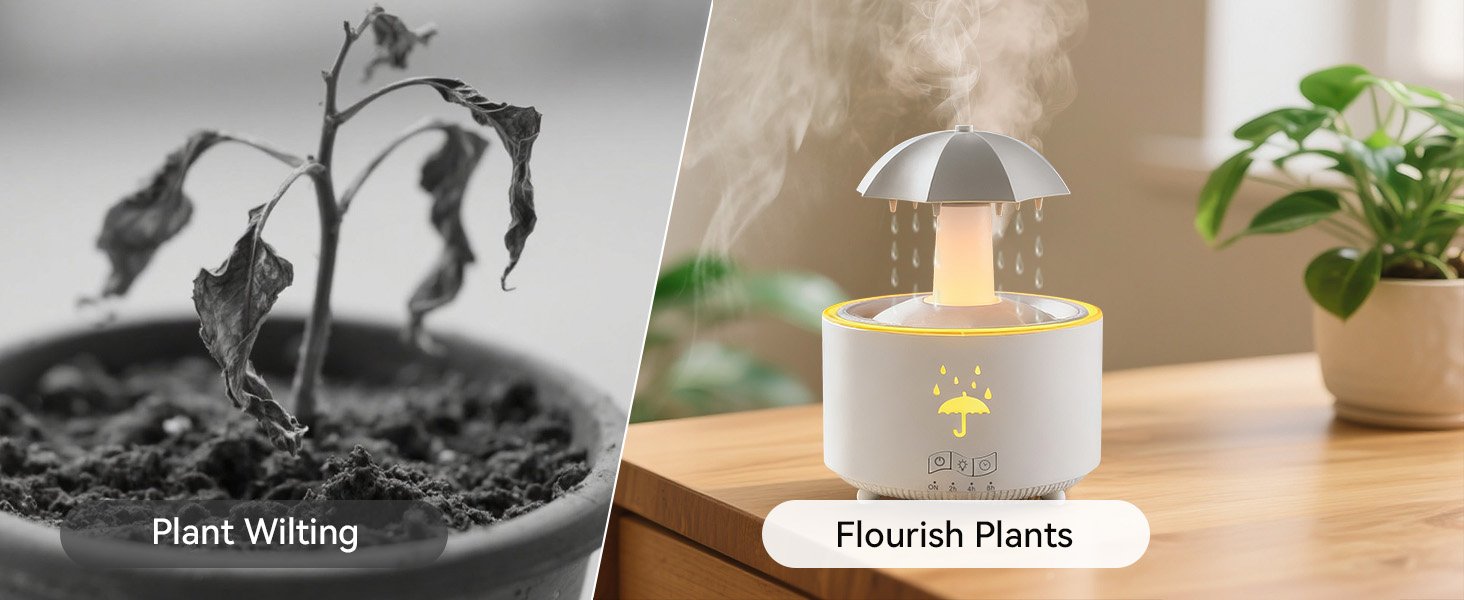 Flourish Plants