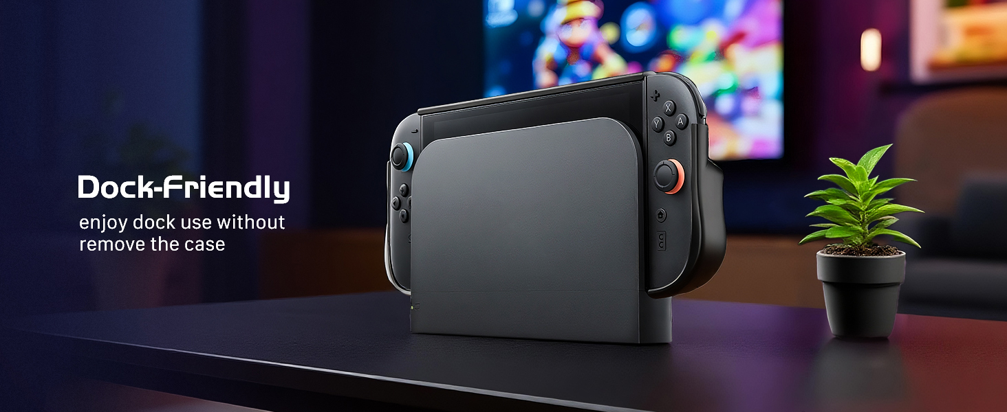 switch 2 dockable case