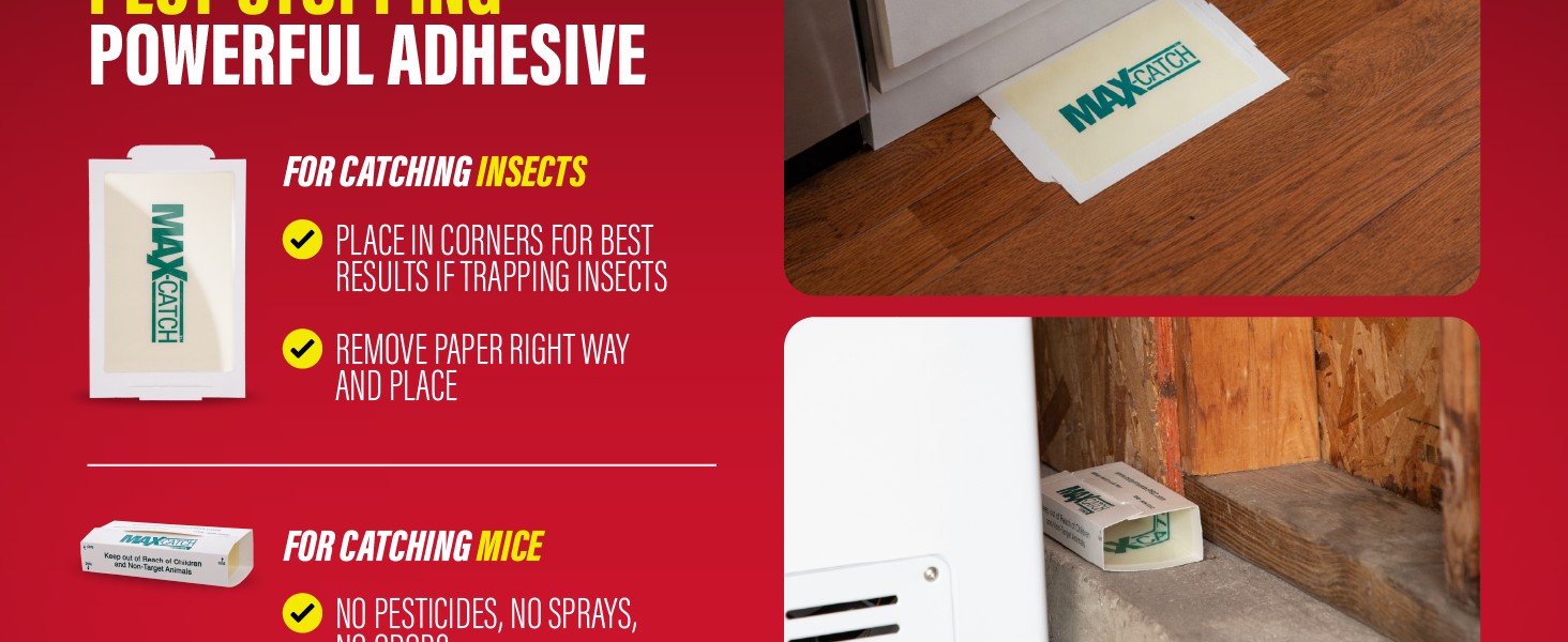 Max-Catch glue traps use powerful adhesive for catching insects and mice indoors