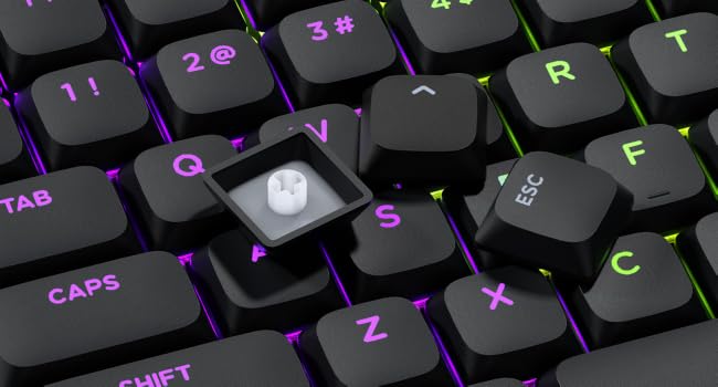 pbt keycaps