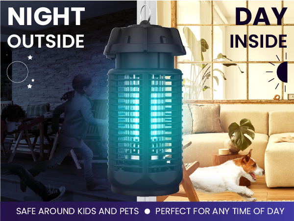 Safe around kids and pets and perfect for any time of day