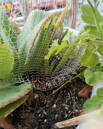 stainless steel mesh screen