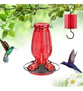FEED GARDEN Glass Hummingbird Feeder for Outdoors Hanging, 20 OZ Humming Birds Feeders with 4 Bee...