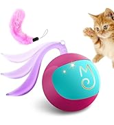 Migipaws 2-in-1 Interactive Cat Toy Ball – Paw Friendly Kicking Chasing Ball