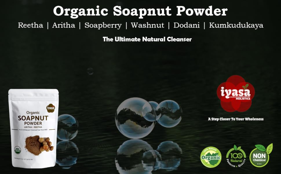 Iyasa Holistics Soapnut Powder Main Image
