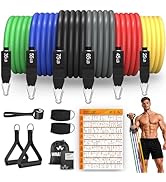 WHATAFIT Resistance Bands, Exercise Bands with Handles, Workout Bands for Working Out, Fitness Ba...