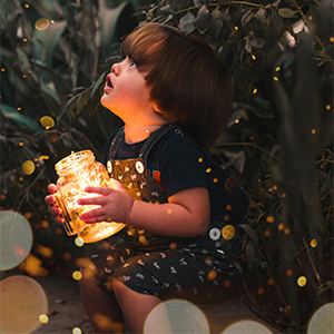 mason jar fairy lights