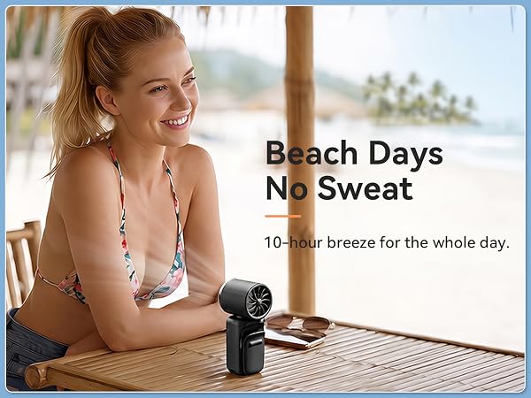 Beach Fan