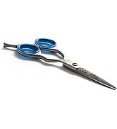 Blizzard Professional Hair Cutting Scissors – 5.5 inch VG10 Cobalt Haircut Shears with Razor Shar...