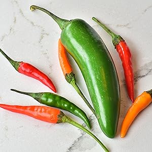 jalapenos, chili peppers