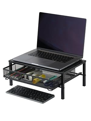 monitor riser