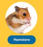 Hamsters