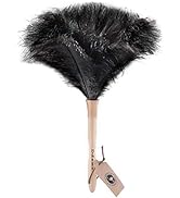 Feather Duster