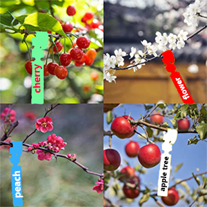 Green Plant Tags Wrap Around Tree Tags Markers, Removable,Adjustable Nursery Garden Labels