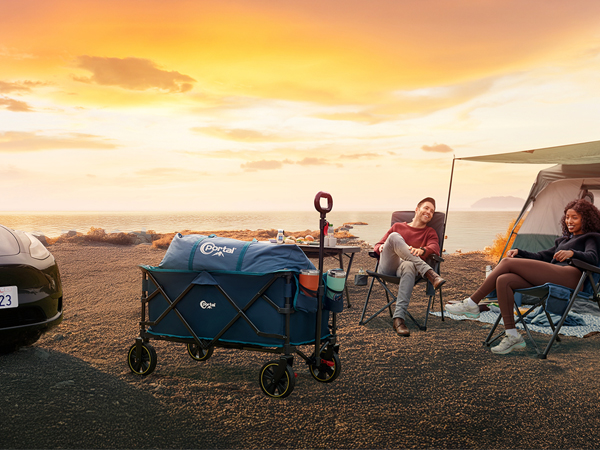 wagon cart