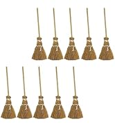 10Pcs Witch Broomstick Set, Miniature Broom Props, Fairy Decoration, Cinnamon Broom, Sweeping Too...