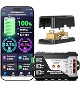 FOXWELL BT630 Battery Monitor with Shunt, 10-120V up to 600A with Time Capacity Percentage Power ...