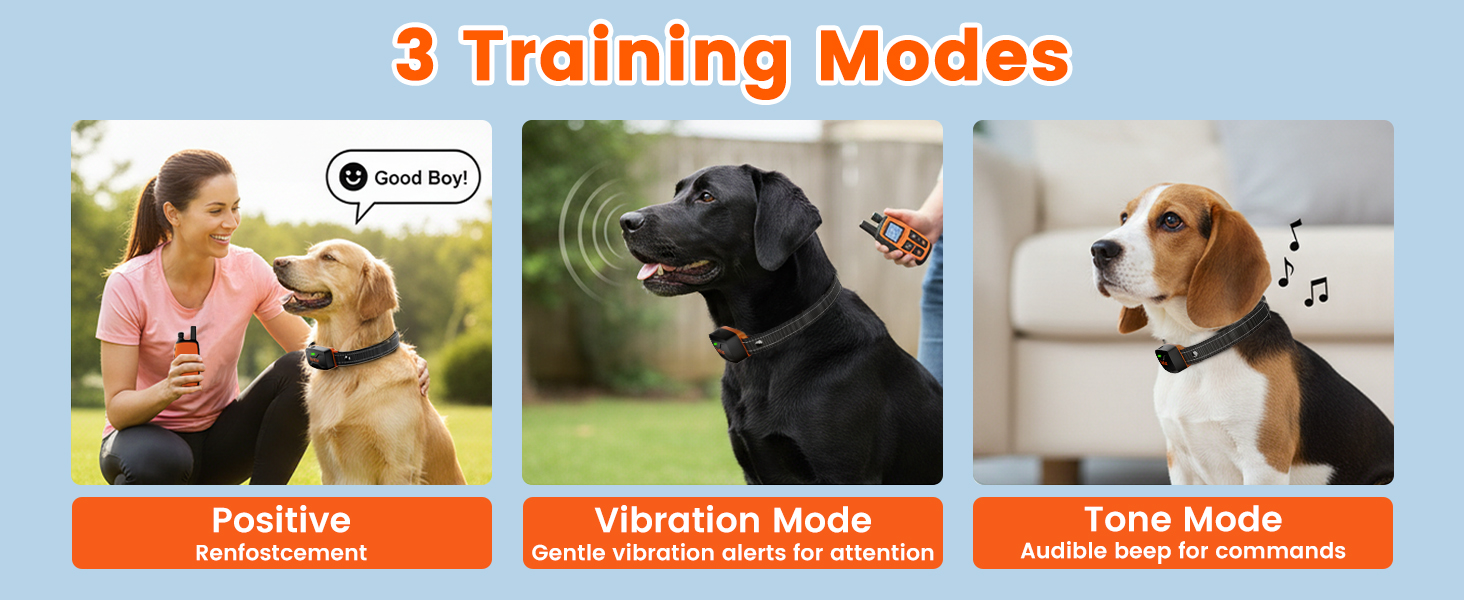 3 Training Modes Helps guide your dog’s behavior and build better daily communication.