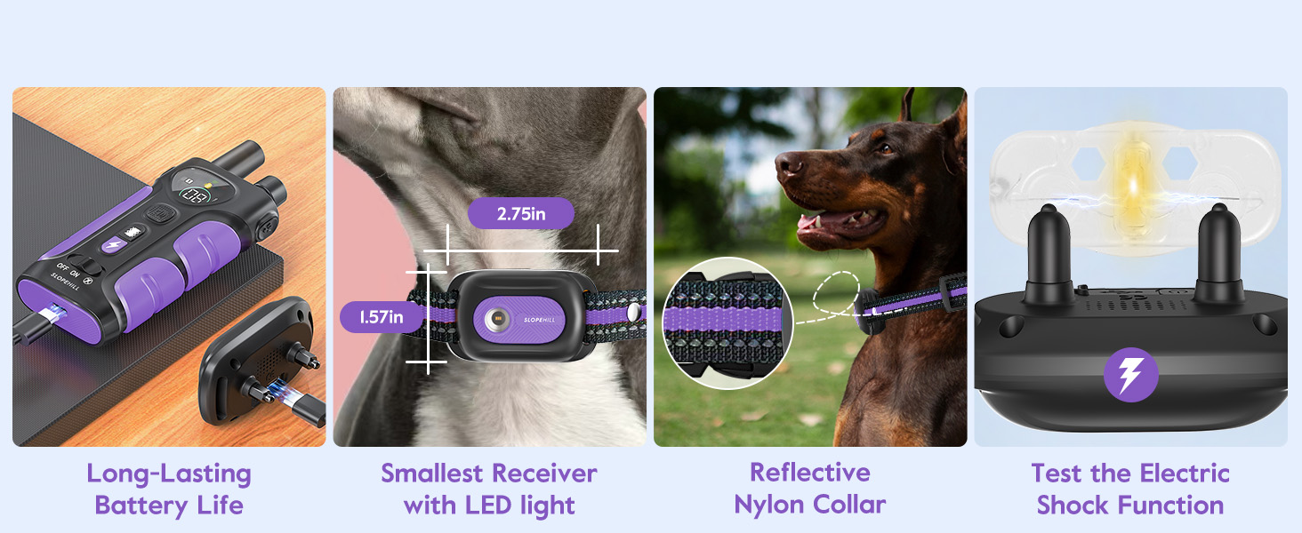 e collar for dogs training