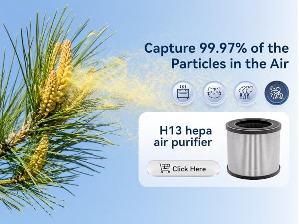Air Purifiers for Home