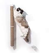 Scratching Post