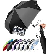 LILAC Windproof Travel Umbrella for Rain - 43" Auto Open Close 8-Rib Compact, Stylish Color Block...