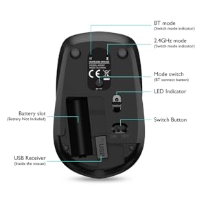 BLACK MOUSE