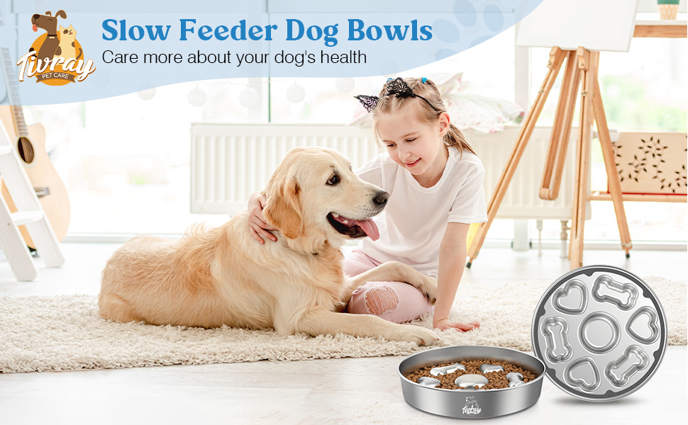 stainless steel slow feeder dog bowl slow feeder dog bowls metal stainless slow feeder dog bowl