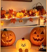 Luditek Pumpkin Night Light, Cute LED Lamp, Silicone 3 Level Dimmable Nursery Nightlight for Kids...