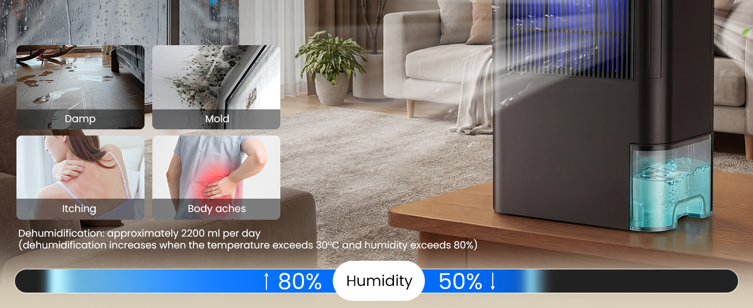 dehumidifier for mold