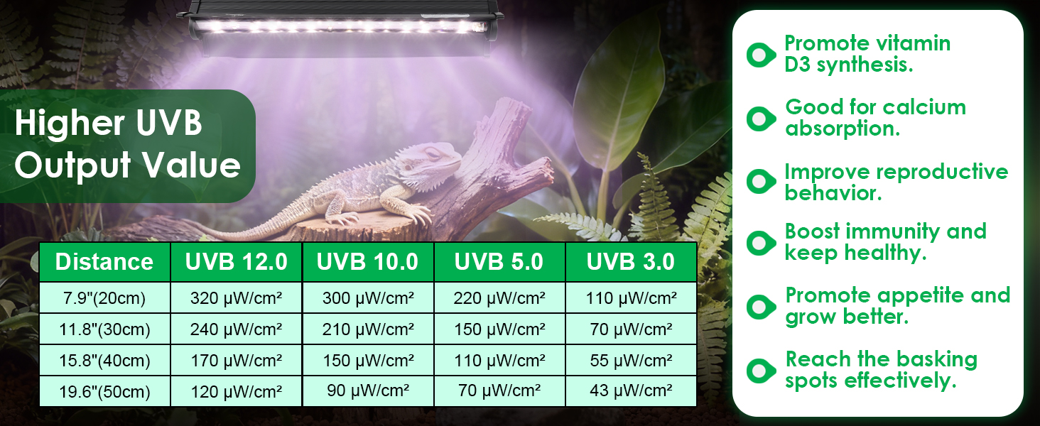 uvb light for reptiles