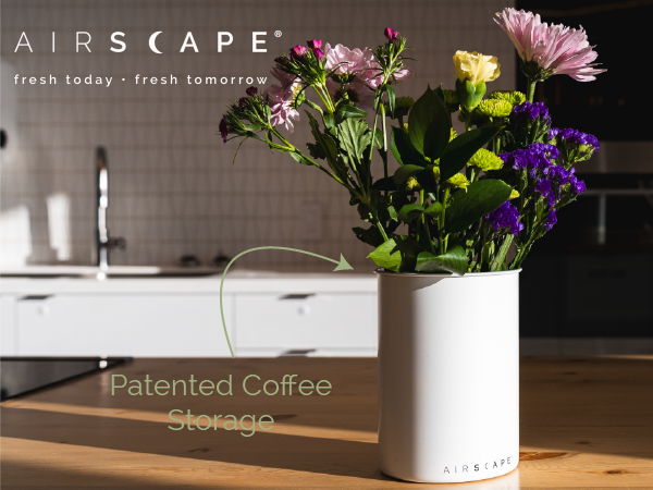 airscape canister with flowers on a kitchen counter