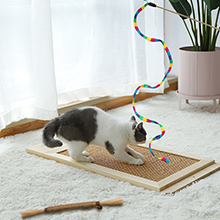 cat enrichment toys for indoor cats