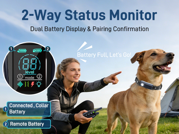 2-way status monitor