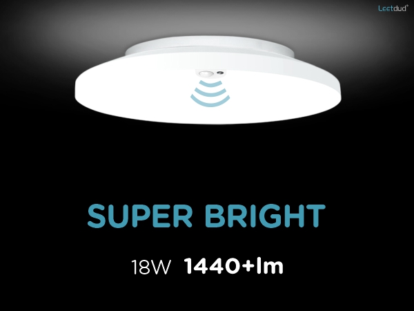 motion sensor light