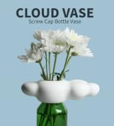 QUALY Cloud Vase Screw Cap Bottle Vase Flower Frogs for Arrangements, Flower Holder Housewarming ...